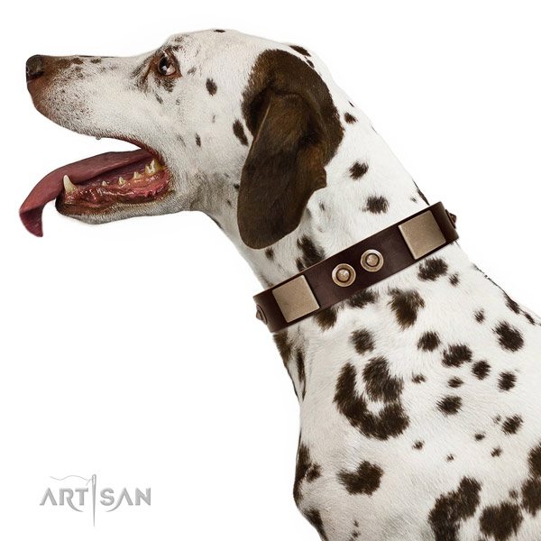 Dark Brown Leather Dog Collar for Dalmatian
