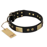 Dazzling Dog Collar "Spanish Night" of New Artisan Collection