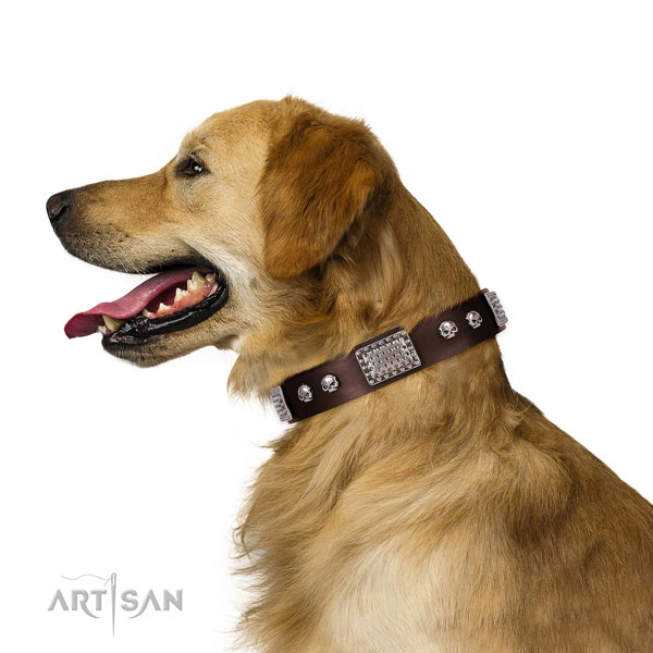 Brown Dog Collar for Golden Retriever