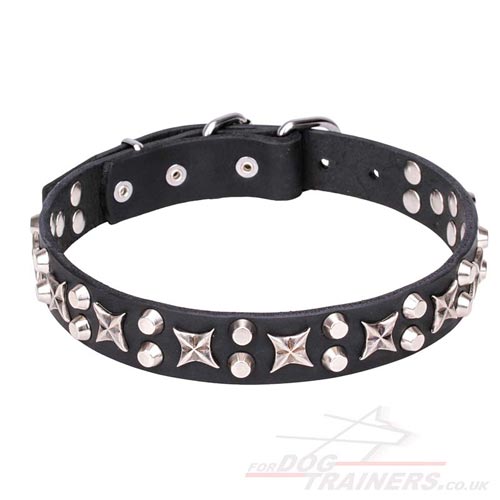 buy decorated dog collar