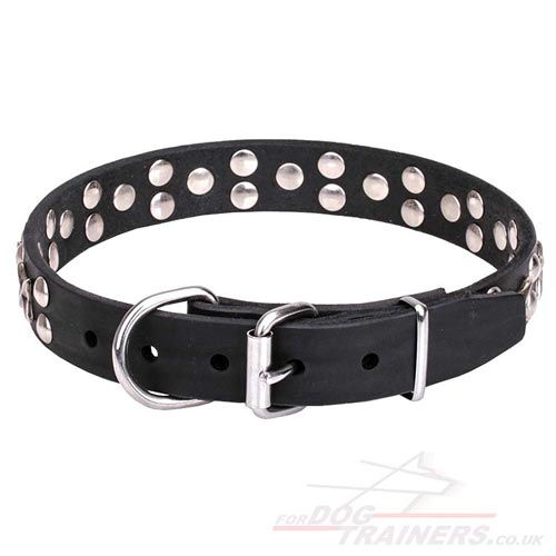 leather dog collar