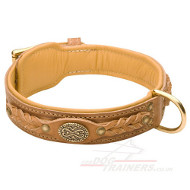Designer Dog Collar For Stylish Dog Designer Dog Collar For Stylish Dog