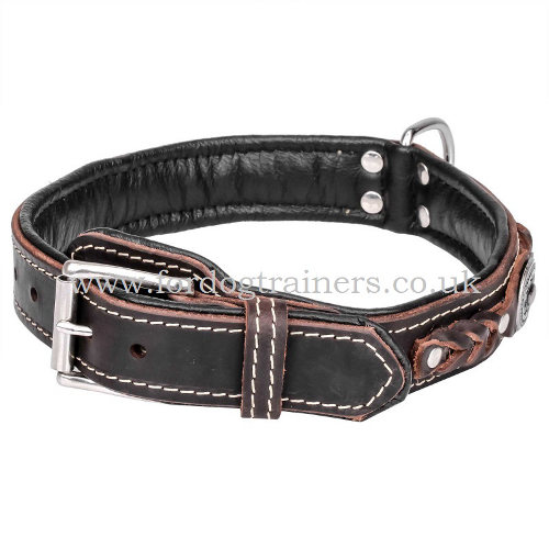 New Luxury Dog Collar