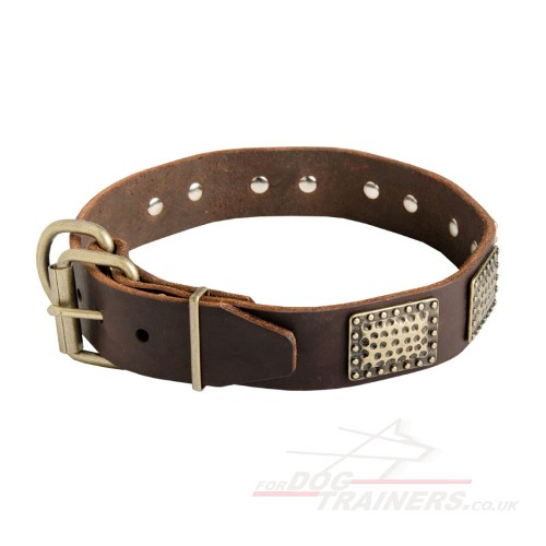 Buckle Brass Studded Leather Dog Collar UK