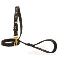 designer dog leash