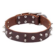 1.6 in Wide Leather Dog Collar of Funky Pirate Style