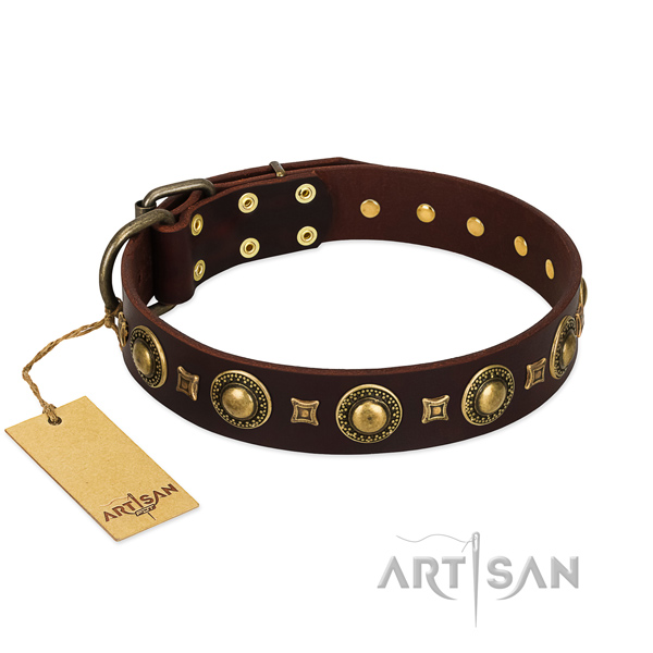 adjustable brown leather dog collar