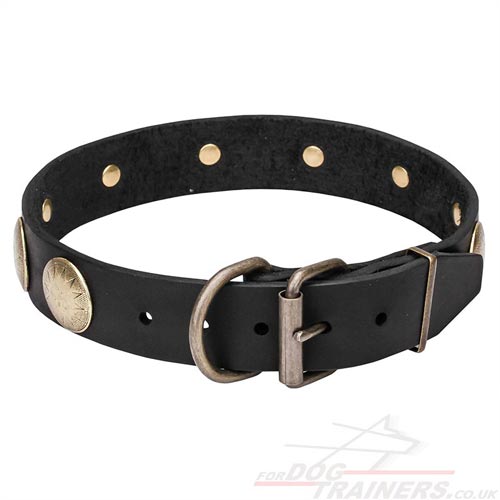 Designer Dog Collar with Buckle