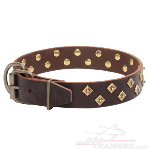 Leather Dog Collar with Buckle