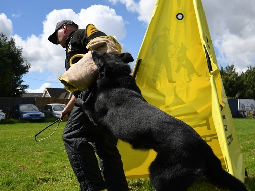 K9 Bite Sleeve for Dog Training