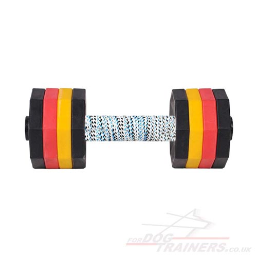 buy dog obedience dumbbells