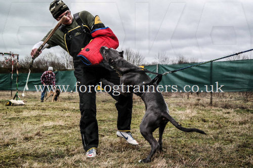 Soft dog bite sleeve for Schutzhund