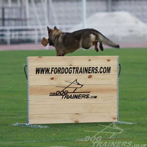 German Shepherd Training