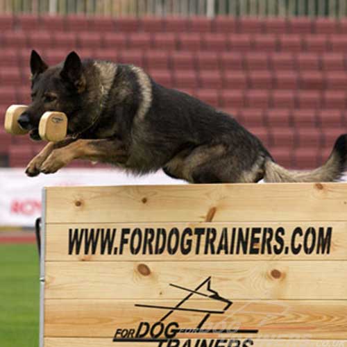 German Shepherd Training