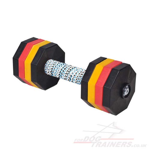 Multicoloured  Dumbbells for dog training online