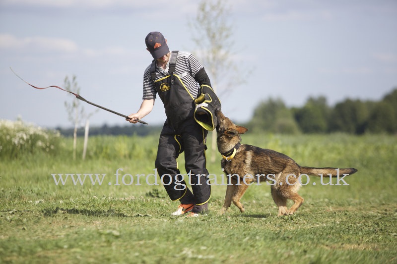 DYNWAVE Dog Training Whip for Medium Large Dogs Schutzhund Protect Pet Training Product 