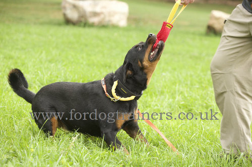 French Linen Dog Bite Tug with Handle