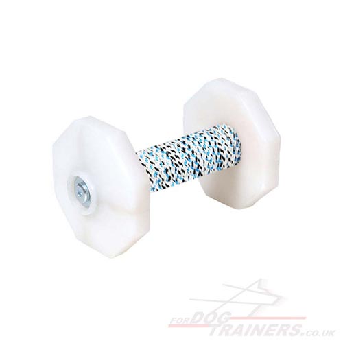 white dumbbells for dog training online