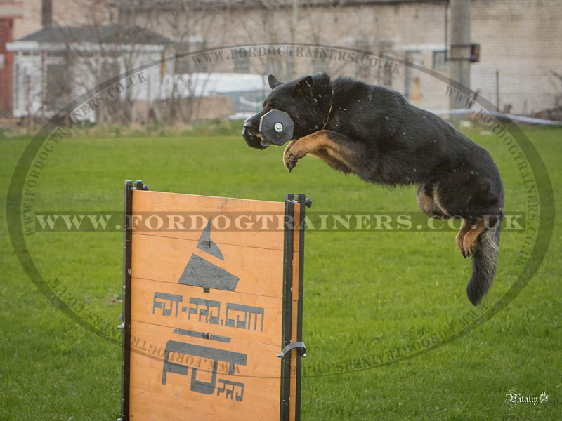 IGP Dog Training Wooden Jump