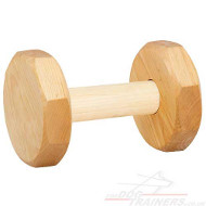 agility dog taining dumbell