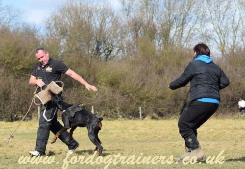 dog bite training pad