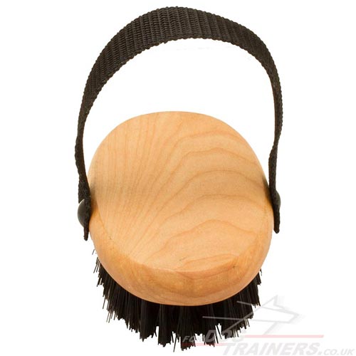 Dog Brush for Short Dog Fur Care