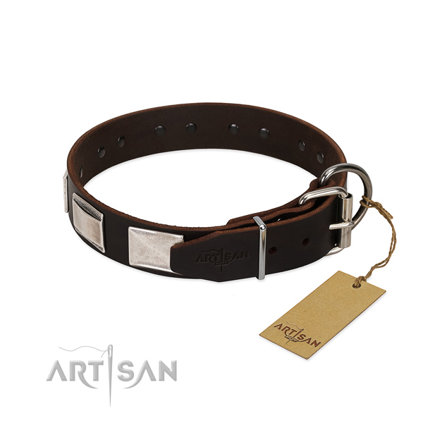 dog buckle collar for big dogs
