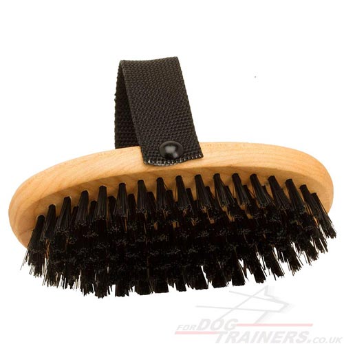 Dog Brush for Short Dog Fur Care