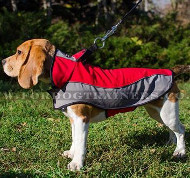 Coats for beagles deals