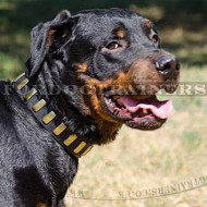 Designer Leather Dog Collars for Rottweilers, Strong and Soft