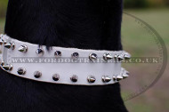 Collars for dog