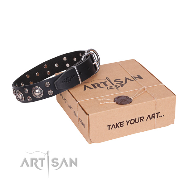 Unusual Dog Collar in a Gift Box