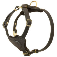 Small Dog Harness