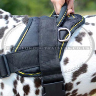 Dog Harness UK for Dalmatian | Nylon multi-purpose Dog Harness