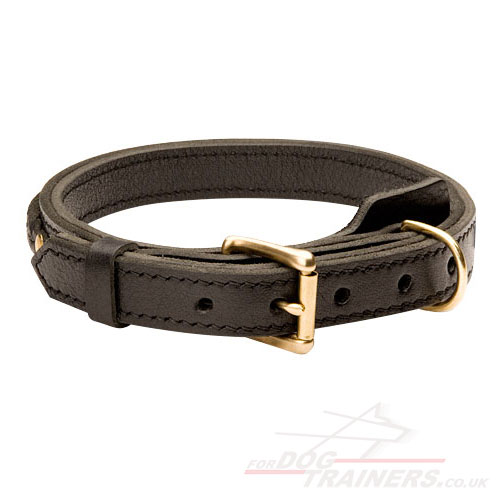 2 Ply Leather Dog Collar with Metal Buckle