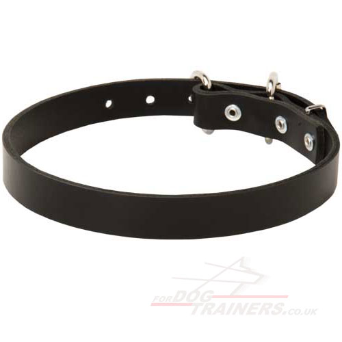 Leather Dog Collar 1 In