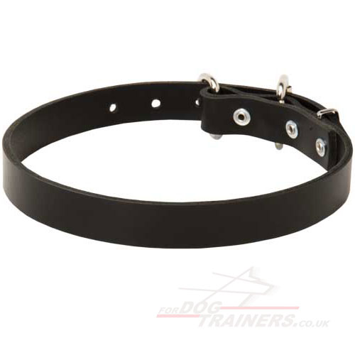 Classic leather dog collar