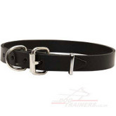 leather dog collar 1