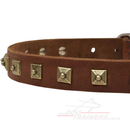 Staffy Leather Collar with Buckle