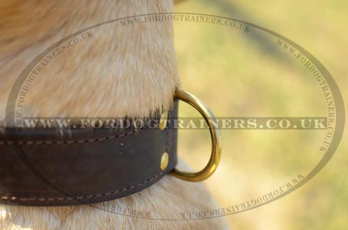 2 ply leather dog collar