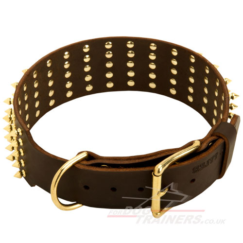 genuine leather dog collar UK