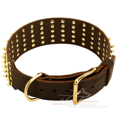 genuine leather dog collar UK