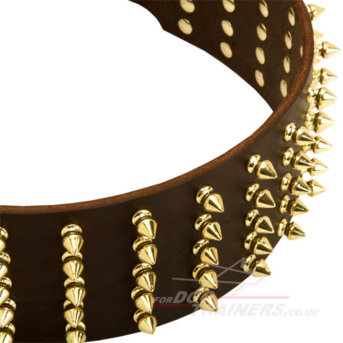 Spiked dog collar for strong dogs