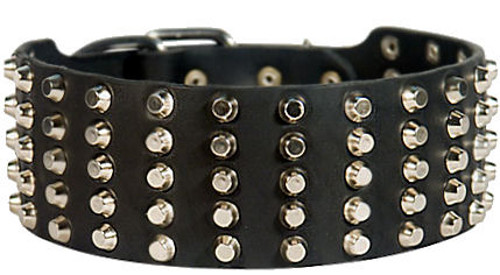 Dog collar for large dogs