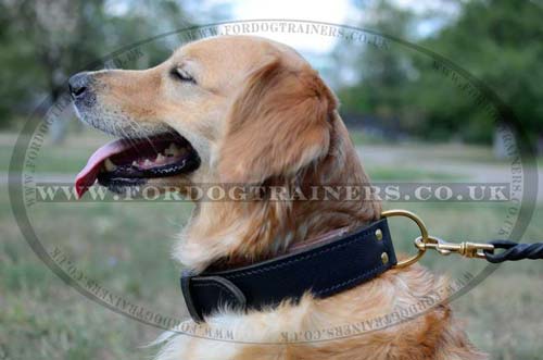Agitation Dog Collar for Large Dogs