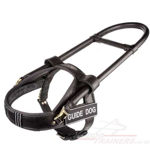 Guide dogs leather harness