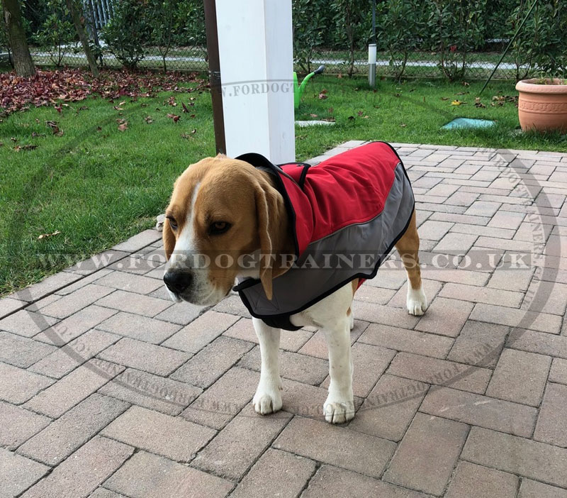 Dog Coat Harness for Beagle Small Dog Coat for Beagle