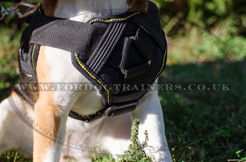 Beagle Harness with Handle for Small Dog Walking