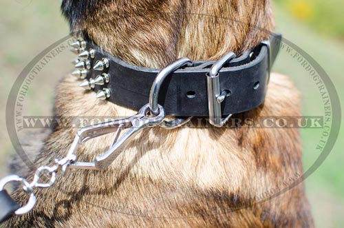 Leather Dogs Collars