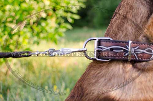 Belgian Malinois Shepherd dog collar